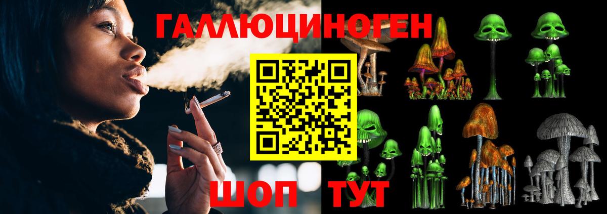 Дивногорск  Галлюциногенные грибы мицелий  Вход с VPN 
